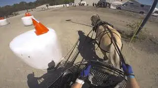 Maraton Fjordhest NM 2018