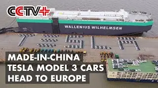 Tesla to Export Made-in-China Model 3 to Europe