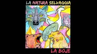 LA BOjE-VIRGA