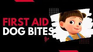 What first aid is needed for animal bites(Dog, cat, monkey etc.)?
