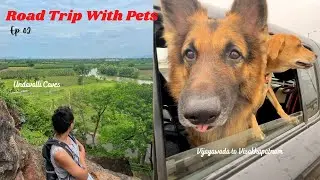 How to go on a Road Trip With Your Pet | Tips and Tricks | Undavalli Caves | Vijayawada