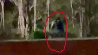 Cannon Creek Bigfoot Footage near Kentucky Ridge Forest
