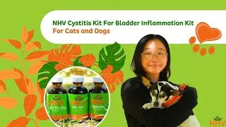 NHV Cystitis Kit For Bladder Inflammation Relief Kit For Cats and Dogs