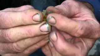 How to fix a blown fuse,  By Chopper Bill