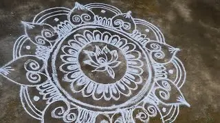 Full video🌼தை பொங்கல் கோலம் Rangoli designs #kolam#pongal kolam #marzhali kolam#freehand kolam ❤️
