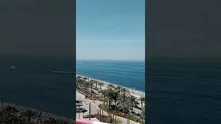 #palmjumerah