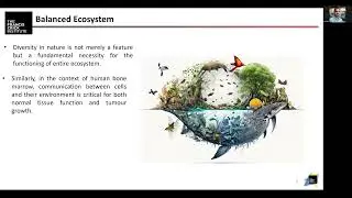 The bone marrow environment in MDS