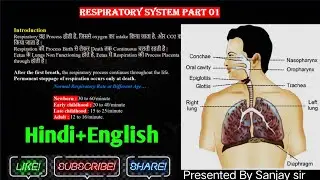 Respiratory system Part 01 ll Functional Anatomy of Respiratory system Hindi ll SanjayMMLT