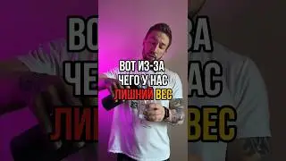 Вот из-за чего у нас лишний вес