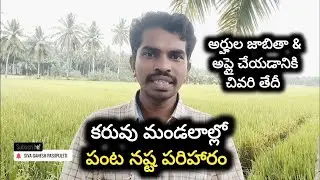Panta Nasta Parisharam In AP - Input Subsidy in AP || Siva Ganesh Pasupuleti