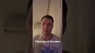 Ты обезьяна или человек? Вот как отличить @gavrilenkoteam