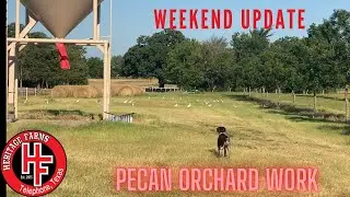 Pecan Orchard Work.   New Irrigation Timer