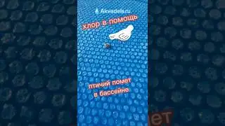 хлор в бассейне 👍 лучшая защита от засранцев