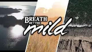 Breath of the Mild Intro