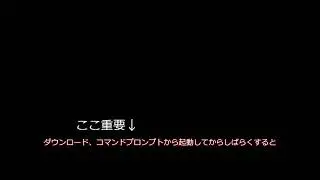 Pixivダウンローダー(Pixiv-dl)の使い方(+Tokenの取り方)