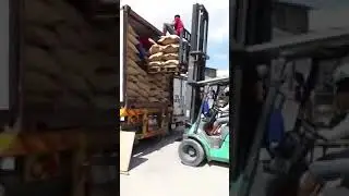Fill the Vietnam Raw Coffee Bean to the container for exporting