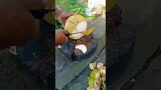 Red coconut cutting #shorts