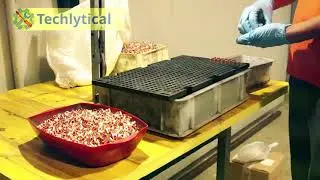 Powerful Stone Cutting Machines | Extreme Rock Splitting Techniques