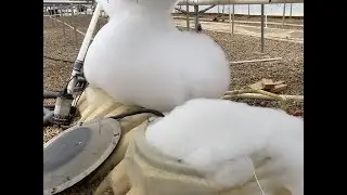 Step One Cleaning our Nutrient Tank, Hydroponic Flush!
