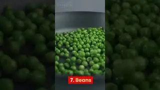 Top 10 Cheap Protein Sources