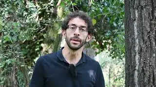 9BIO. Un caso di studio: il cervo volante. Kit didattico per la scuola secondaria di II° grado.