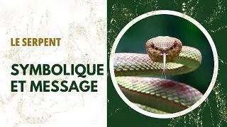 Le serpent &ndash; symbole de transformation, de gu&eacute;rison et de puissance vitale