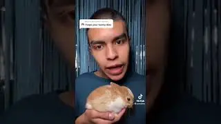 Shut yo bubblegum dumb dumb-