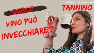 QUALI VINI POSSONO INVECCHIARE? COME LO CAPISCO? 🍷