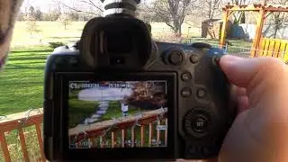 Canon R5 Display Lag During High Speed Framerate