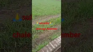 🌾❄️Chale Gaye December | Khet, Thandi Hawa Aur Yaadein 🌾❄️ #youtubeshorts #trending #village life