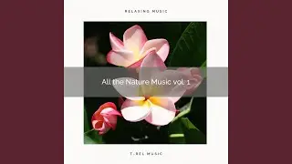 Old Trees with Wild Bird Tweets and Nature Tunes pt. 2