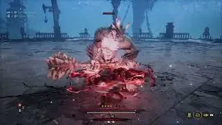 The First Berserker Khazan | Dual Wield - Skills Showcase