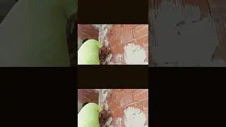 No hagas una pared de yeso sin ver este v&iacute;deo