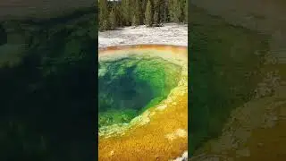 morning Glory Pool  yellow stone National park