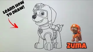 HOW TO DRAW ZUMA | Paw Patrol #drawing #draw #pawpatrol #howtodraw