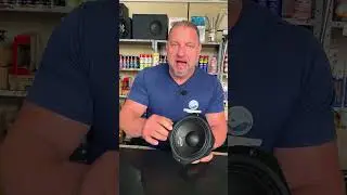 Woofer Cone Seco 6