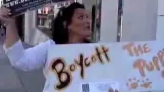 Protests at the The Puppy Store