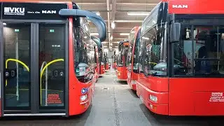 Live Pr&uuml;fung f&uuml;r Klasse DE