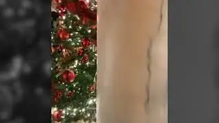 Leaked Remarks: Donald Trump Speaks at a Private White House Holiday Party - December 1, 2020
