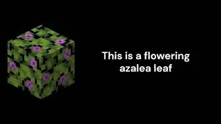 Flowering Azalea Leaf - Minecraft