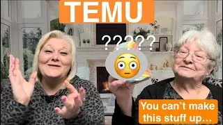 TEMU || LOTS OF VARIETY & FUN!