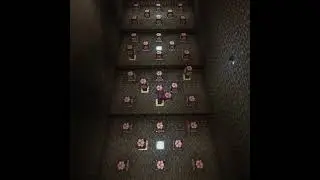 Simple Manual Chorus Farm Timelapse