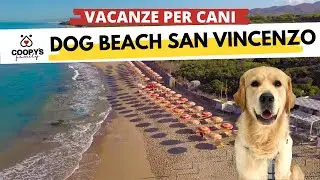 Le migliori spiagge per cani d'Italia |E02| @spiaggiapercani