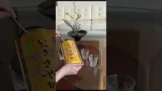 🍃 Loose Leaf Sencha Ritual &mdash; Affordable, Simple, Peaceful