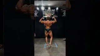 3 days untill I go for my IFBB pro card😤 #ifbb #latman #wings #bodybuilding #classicphysique