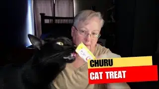 These Squeezy Cat Treats Make Treat Time So Easy