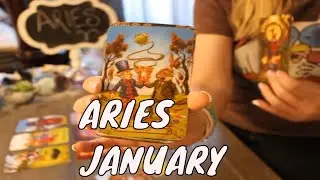 ARIES:✨ 