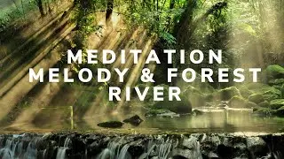HEILENDE MUSIK F&Uuml;R K&Ouml;RPER, GEIST UND SEELE ❯ Sanfter Waldfluss & Ambient zur Meditation 🌿💧 ASMR