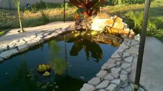 Pond4