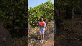 #flower#lovers#with my sister#trending#videos#kids#.